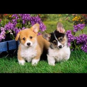 Meet your Posher, Leah